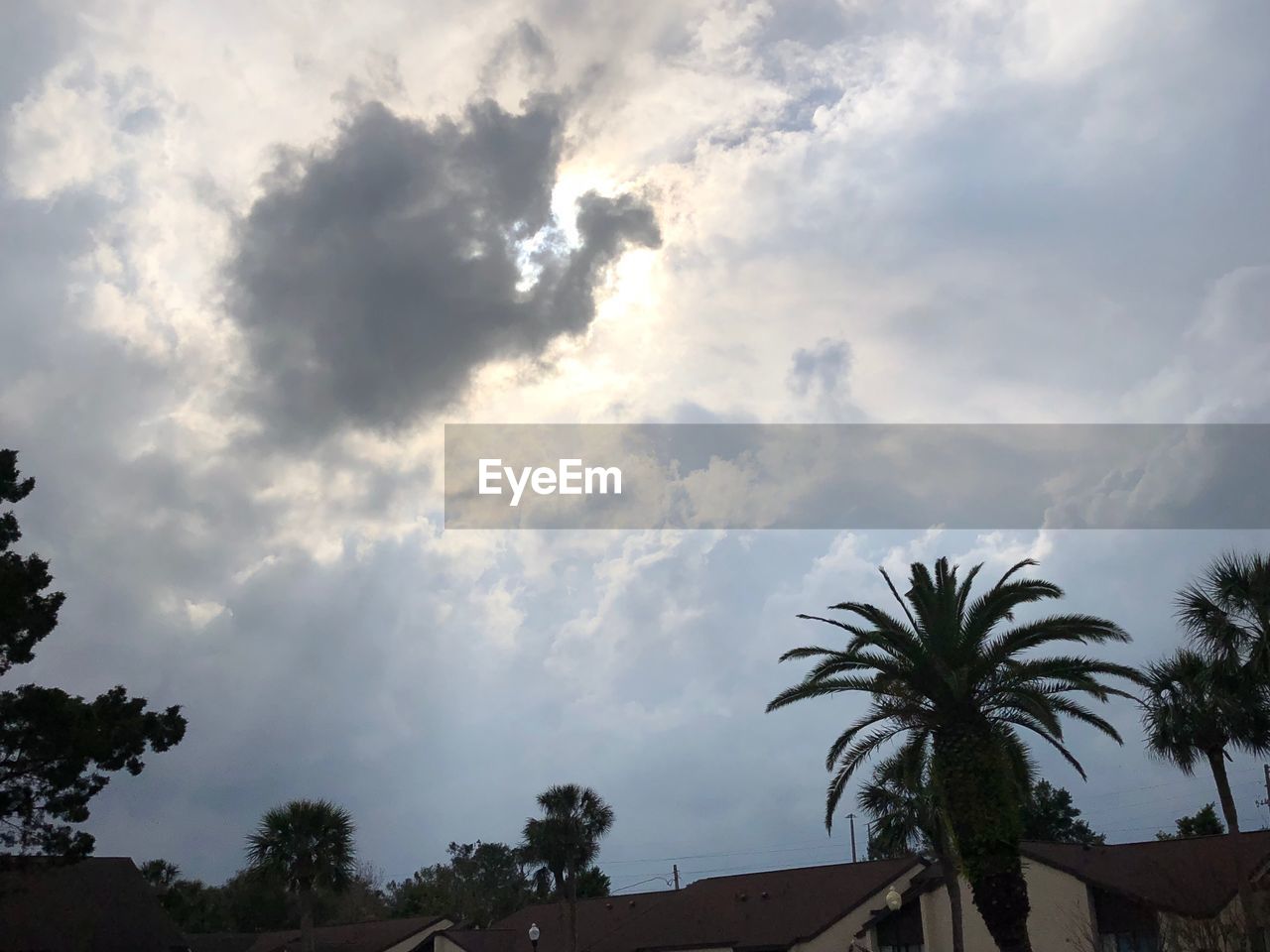 LOW ANGLE VIEW OF PALM TREES AGAINST CLOUDY SKY