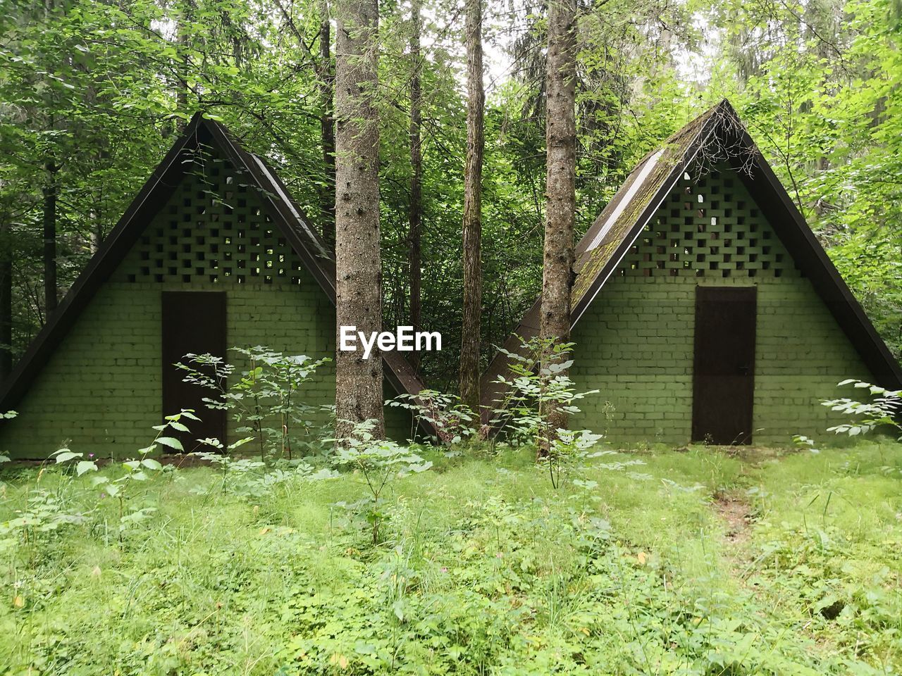 WOODEN HOUSE AMIDST TREES ON FIELD