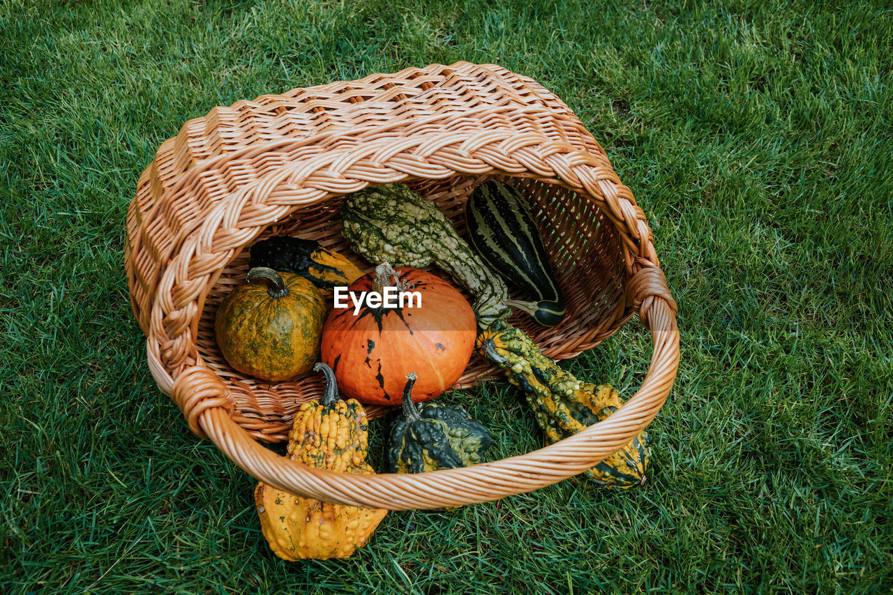 High angle view of pumpkin with basket on grassy field