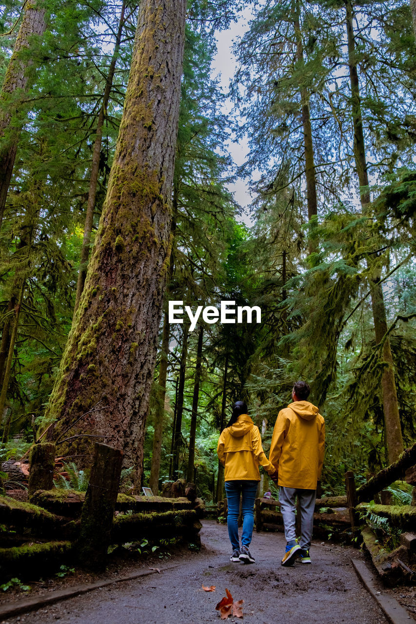 REAR VIEW OF FRIENDS WALKING ON TREE TRUNK