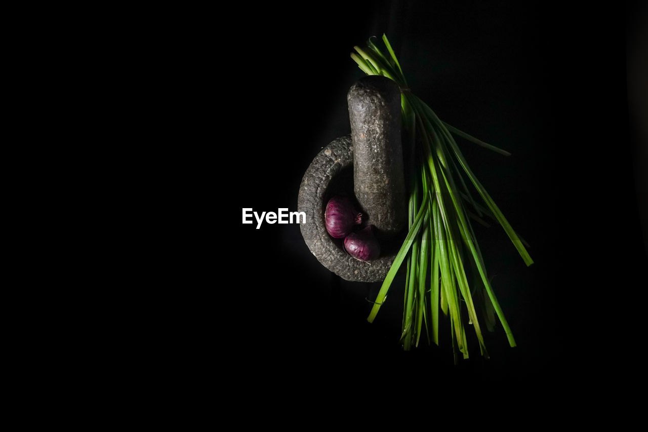 Close-up of mortar and pestle with onions and herbs over black background