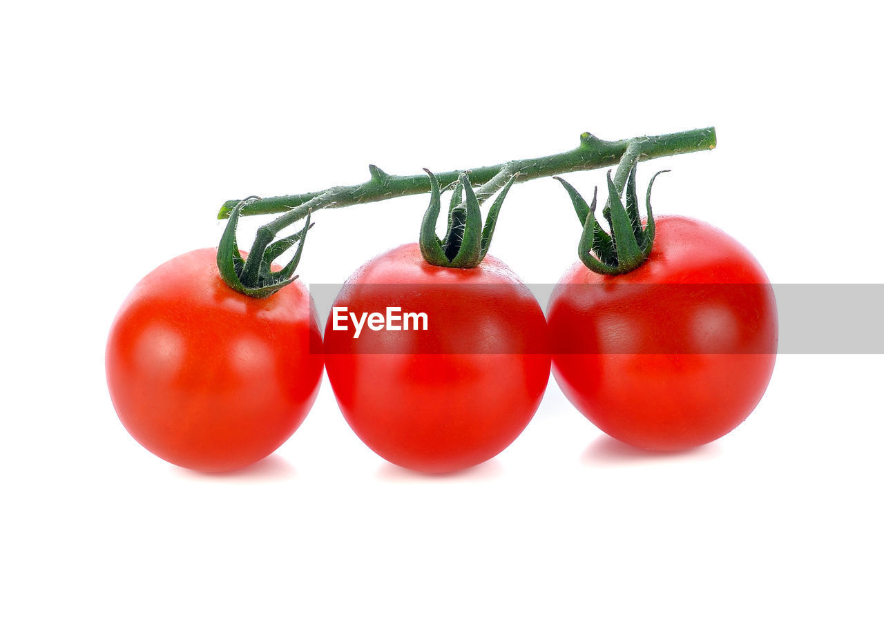 CLOSE-UP OF RED TOMATOES AGAINST WHITE BACKGROUND