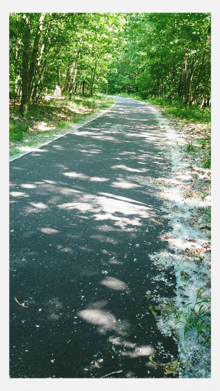 VIEW OF ROAD