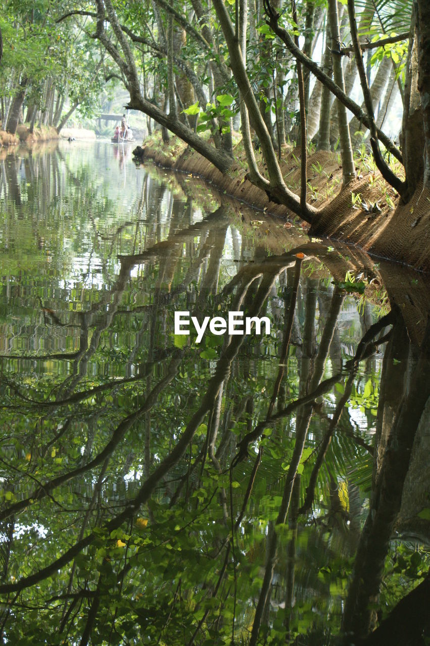 High angle view of trees reflecting in canal