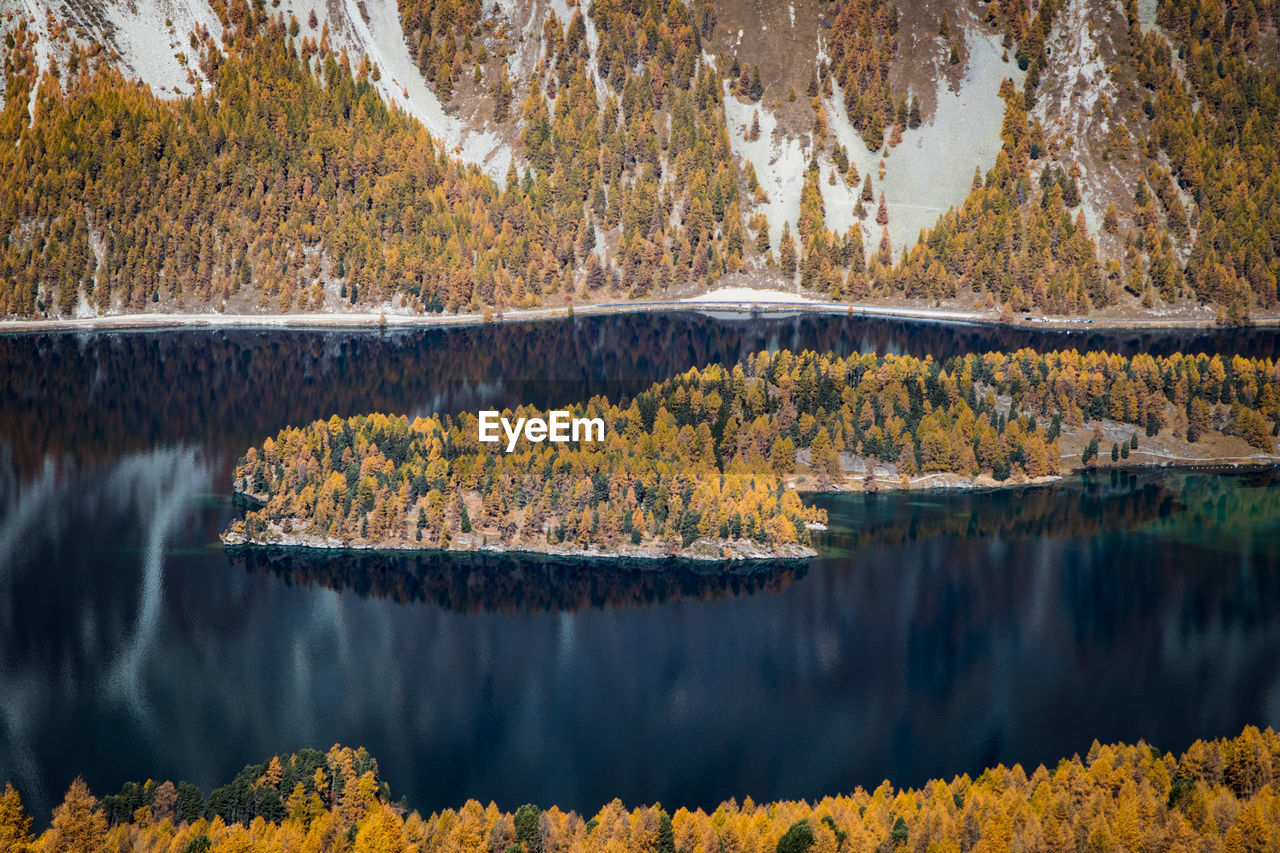 Scenic view of lake by trees during autumn