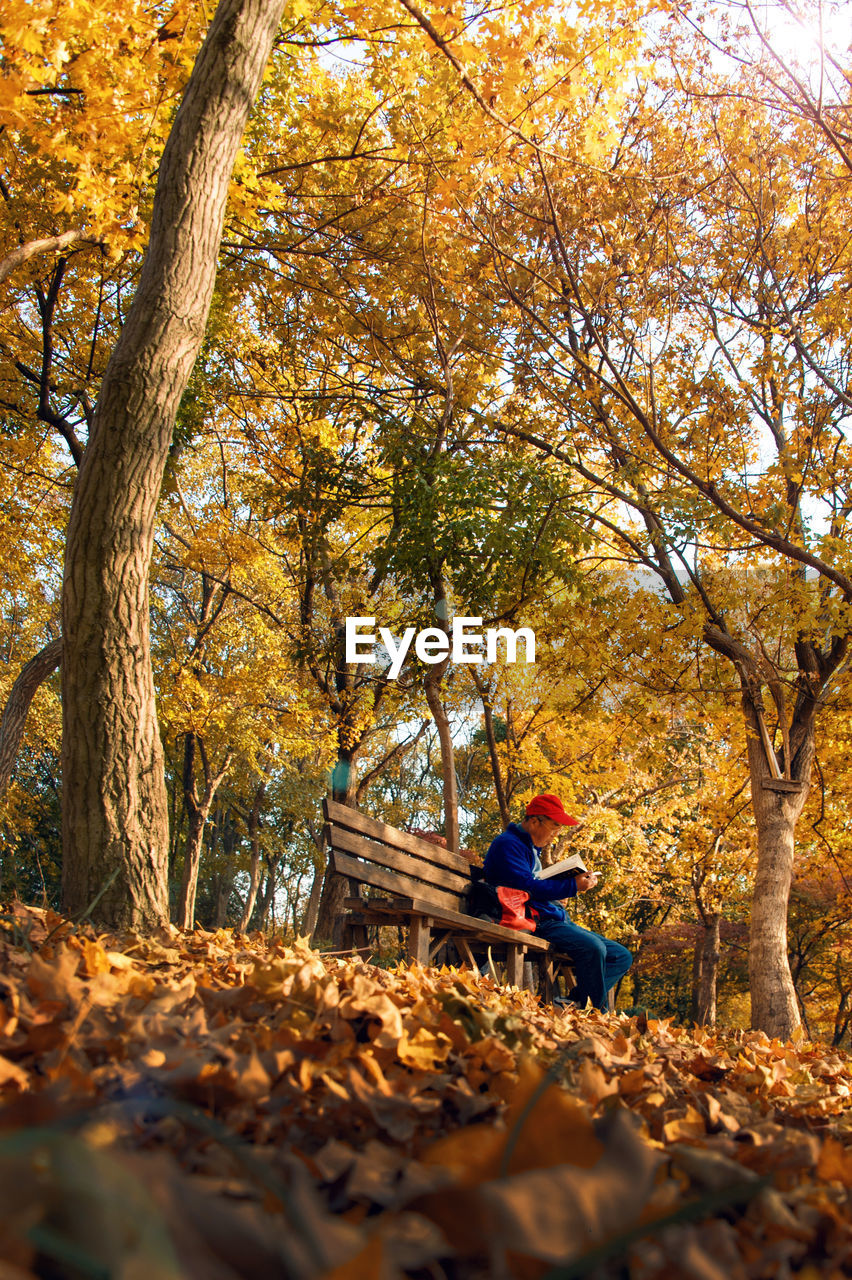Man sitting on bench at park
