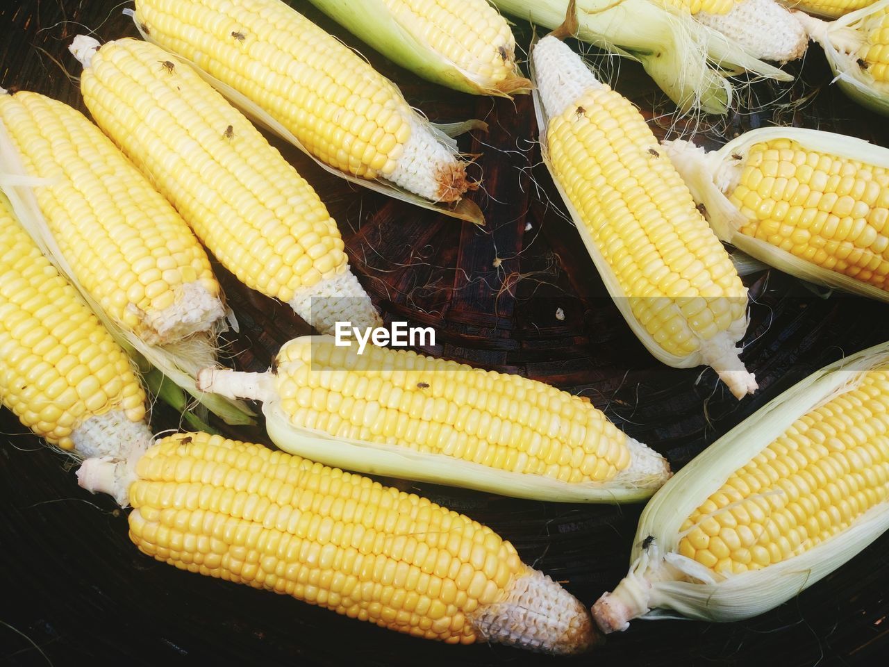 High angle view of corn on the cob in basket at market for sale