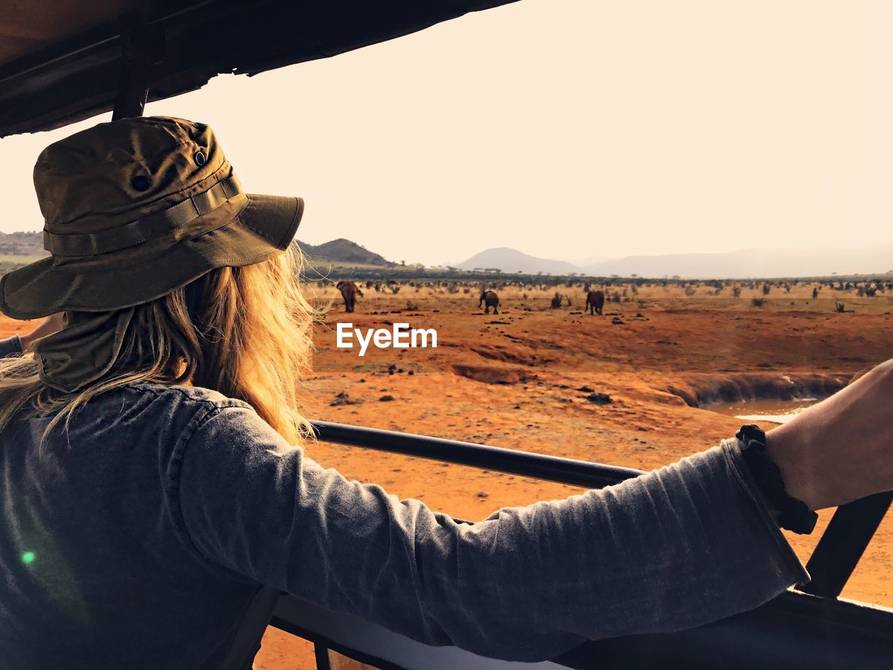 Rear view of woman in off-road vehicle looking at elephants at national park