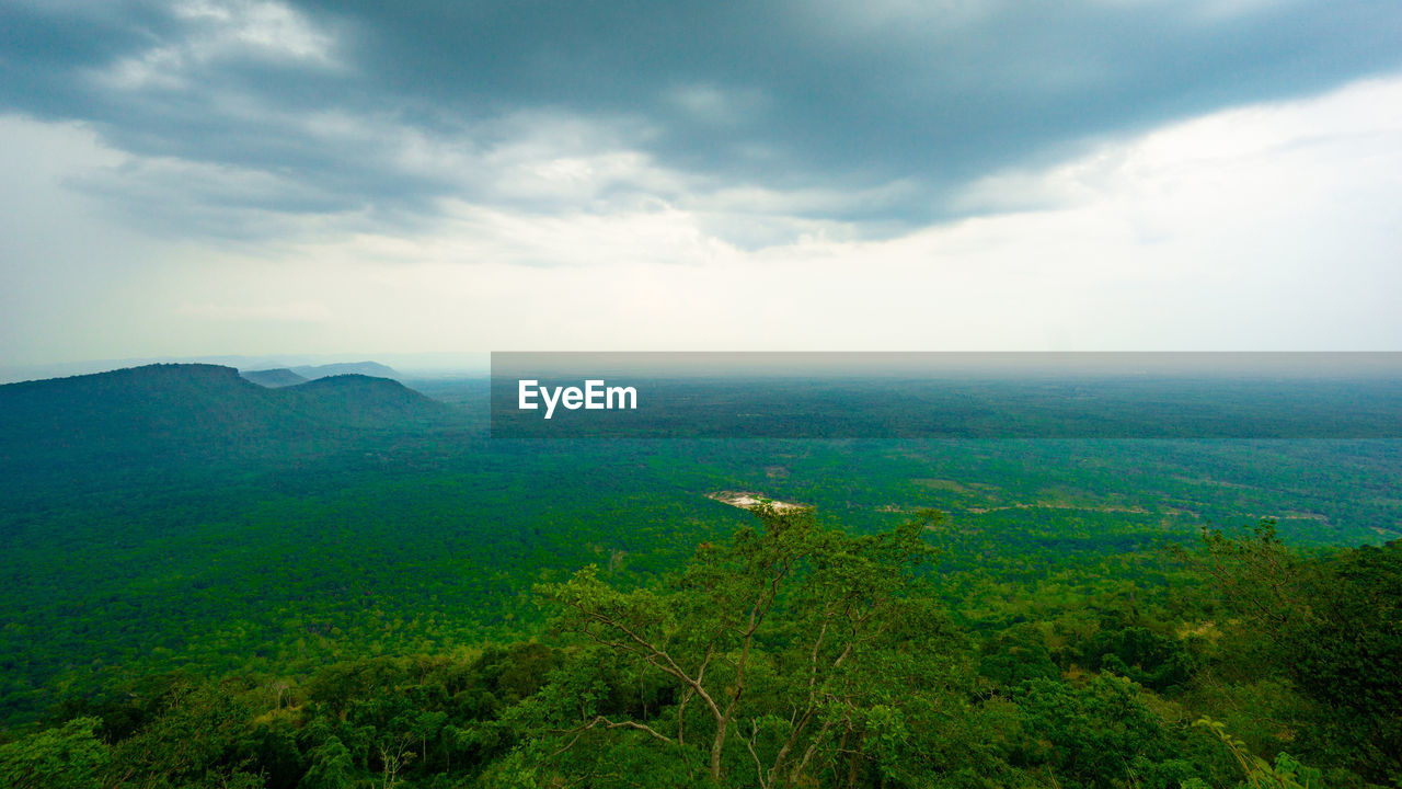 SCENIC VIEW OF TREES AGAINST SKY