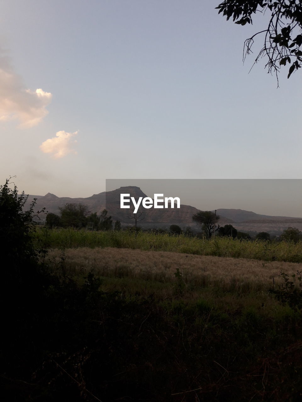 SCENIC VIEW OF LAND AGAINST SKY