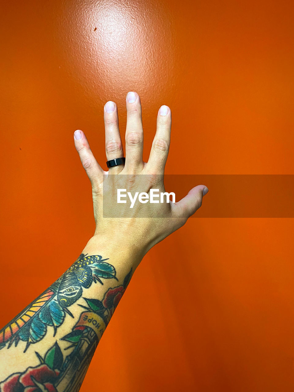 Close-up of human hand against orange background