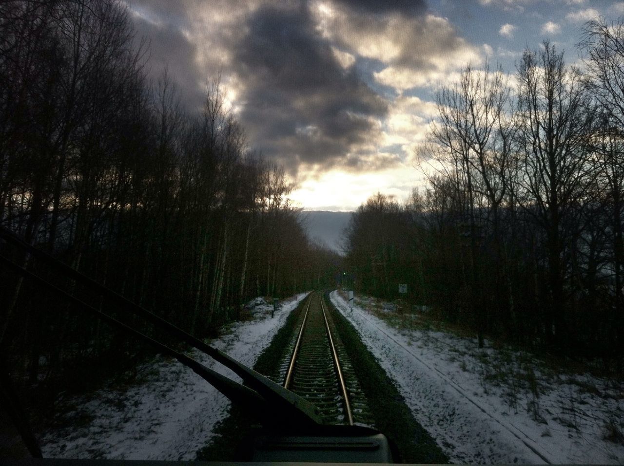 Bare trees and cloudy sky seen through train windshield during winter
