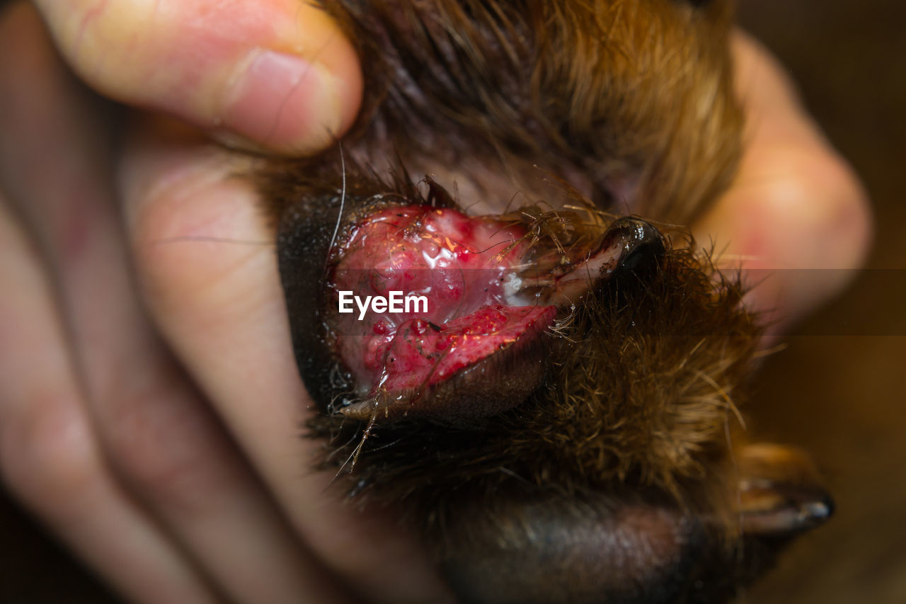 CLOSE-UP OF PERSON HAND HOLDING EXTREME