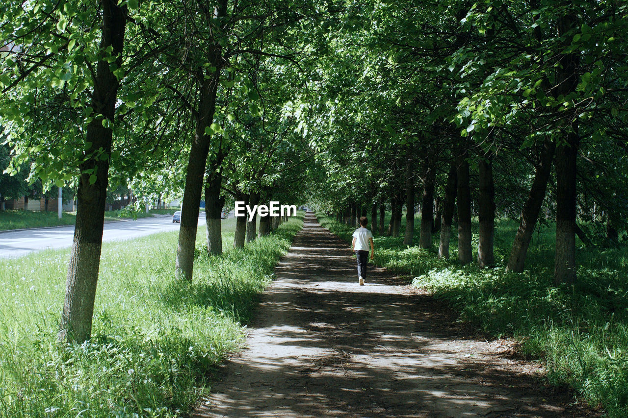 Boy walking on pathway amidst trees during sunny day