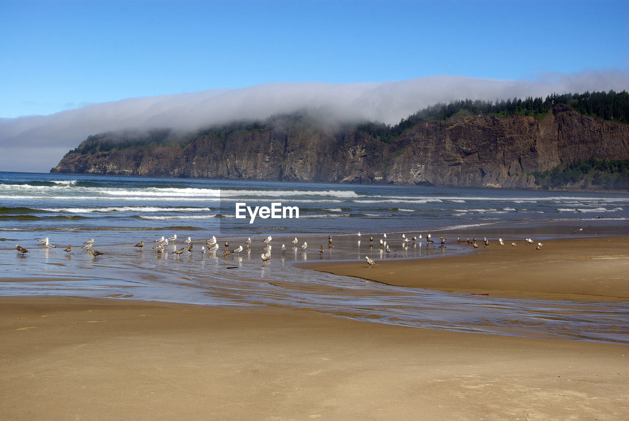 Scenic view of beach against sky