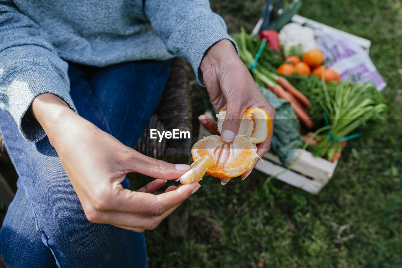 Woman peeling a tangerine, taking a break in a vegetable garden