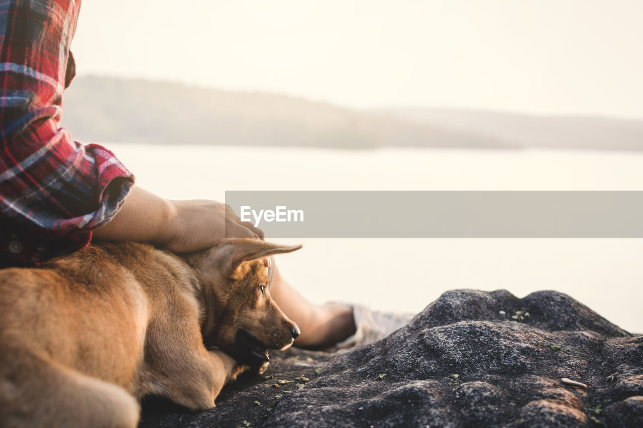 Midsection of boy with dog relaxing on rock formation by lake