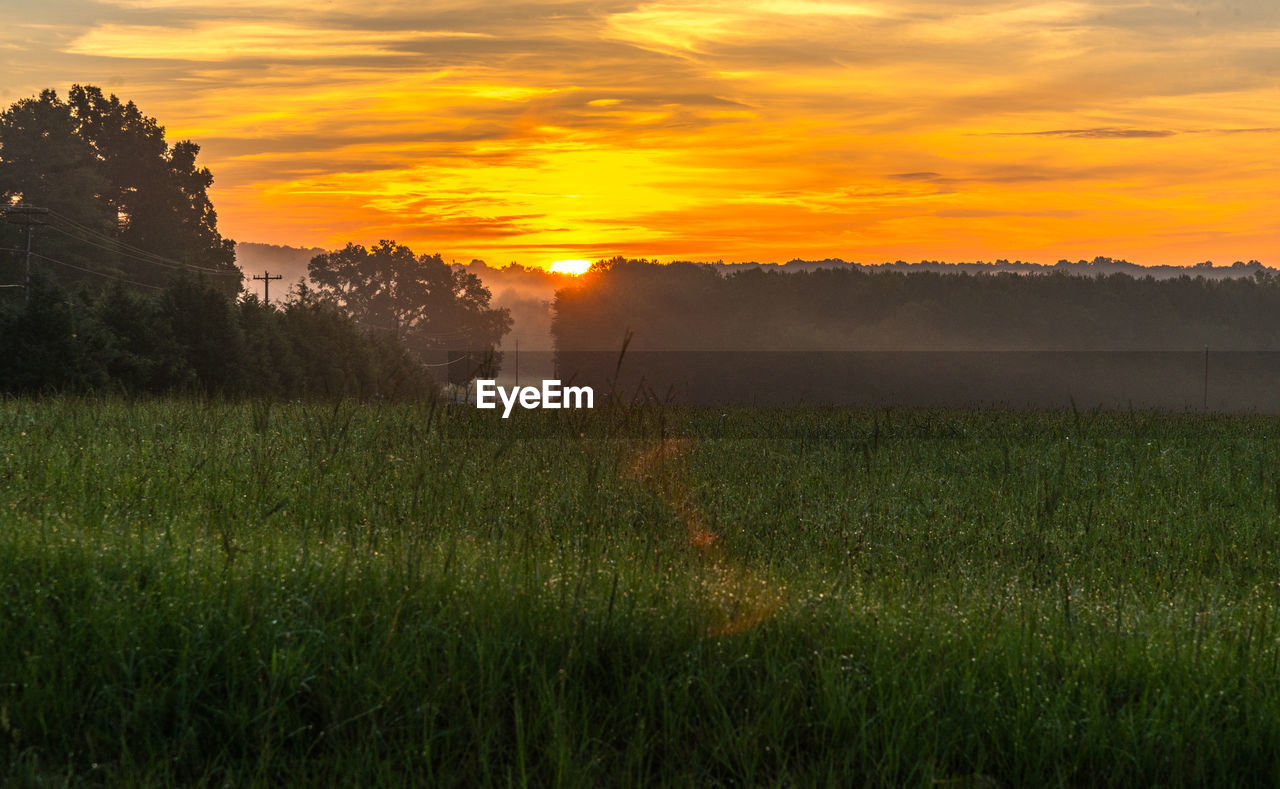 Scenic view of field against sky during sunset