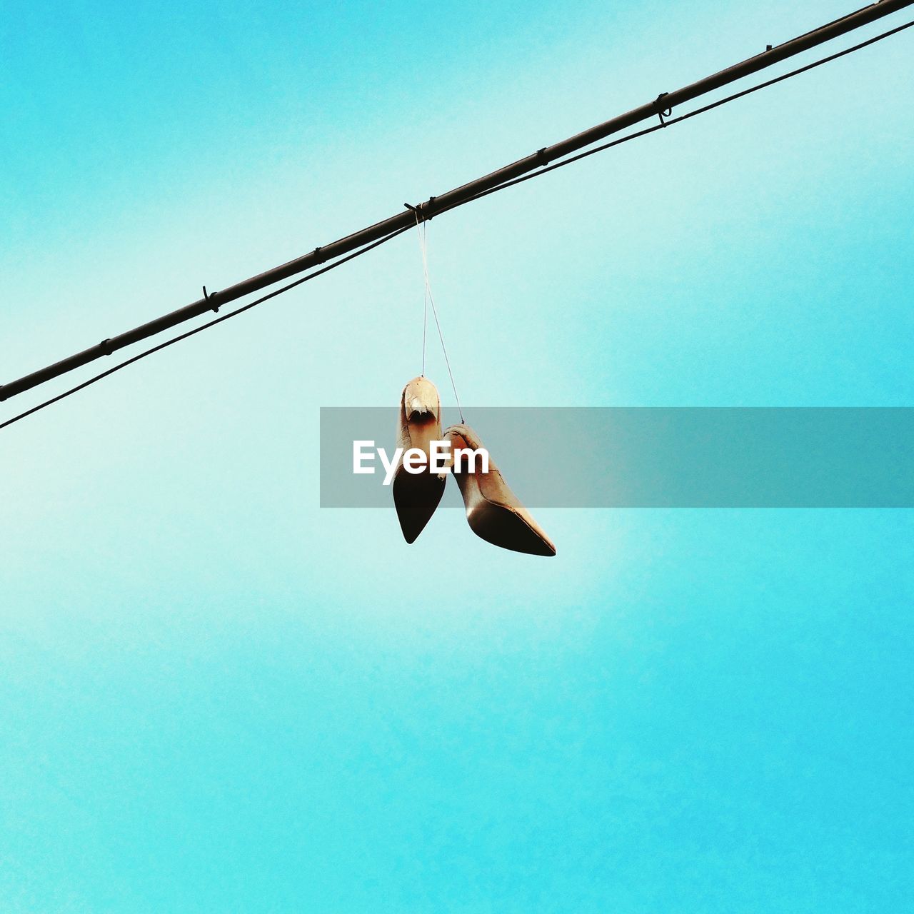 LOW ANGLE VIEW OF BIRDS AGAINST CLEAR SKY