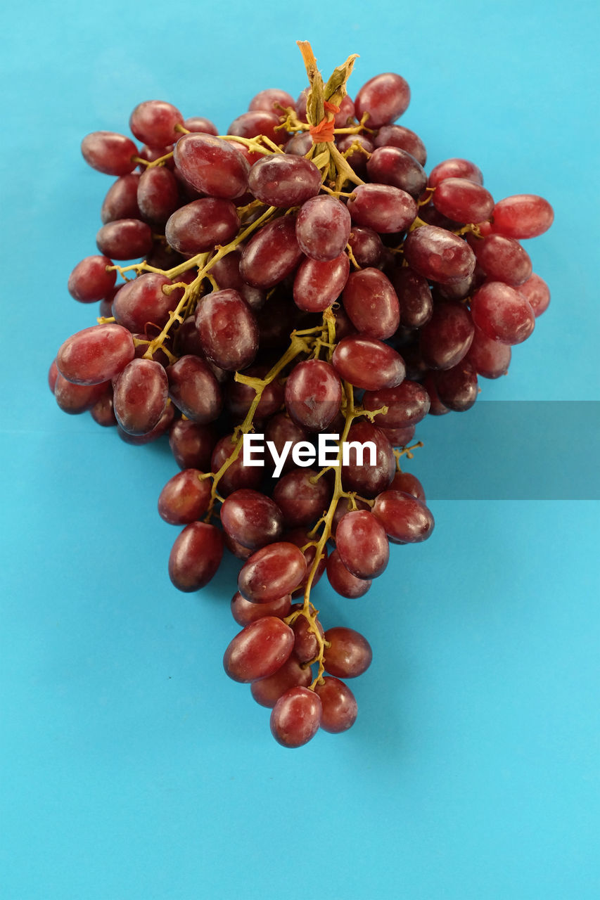 DIRECTLY ABOVE SHOT OF RED BERRIES AGAINST BLUE BACKGROUND