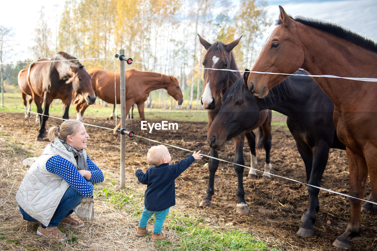 Mother and son looking at horses in ranch