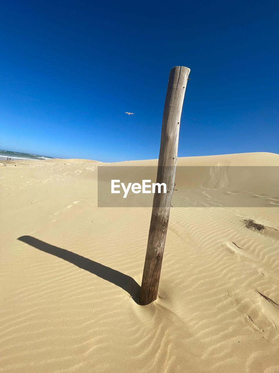 sand, land, desert, sand dune, erg, landscape, sky, scenics - nature, natural environment, environment, climate, arid climate, clear sky, nature, dune, blue, beauty in nature, singing sand, no people, horizon over land, tranquility, sunny, extreme terrain, dry, travel, non-urban scene, sunlight, tranquil scene, day, travel destinations, outdoors, horizon, remote, barren, tourism