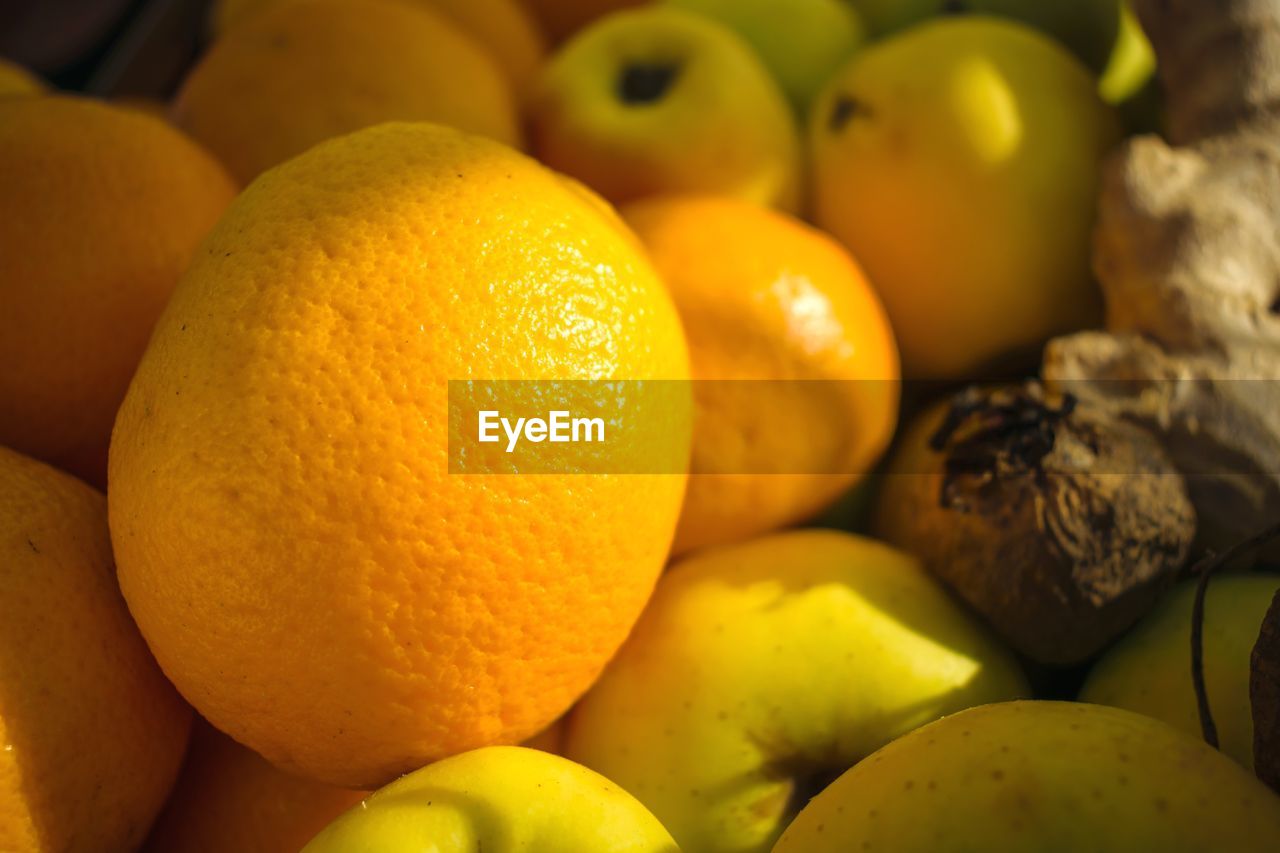 FULL FRAME SHOT OF FRUITS