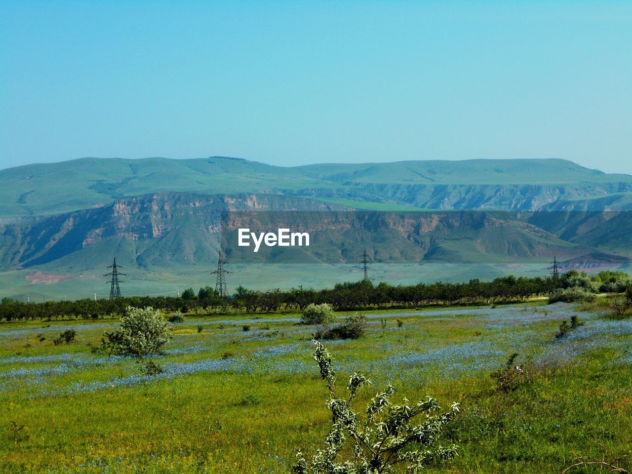 SCENIC VIEW OF FIELD AGAINST CLEAR SKY