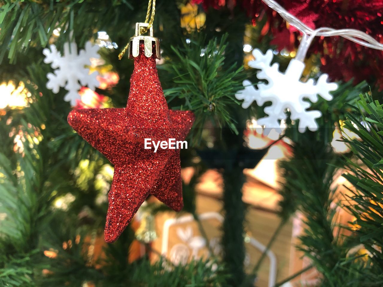 Close-up of christmas decoration hanging on tree