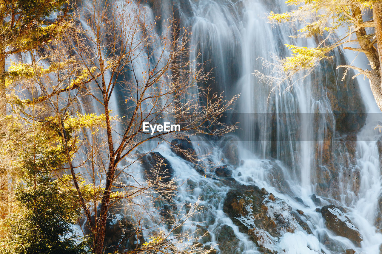 Scenic view of waterfall in forest