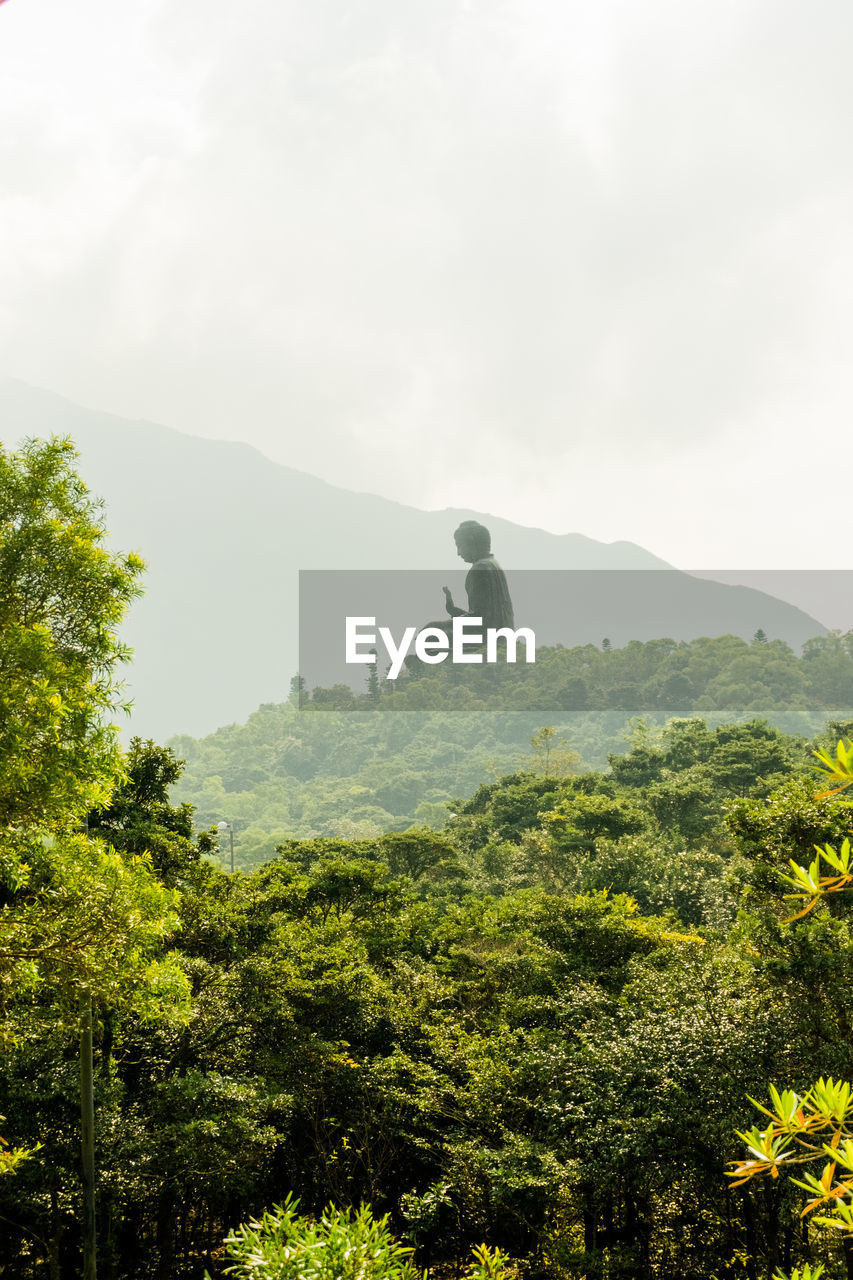 Scenic view of tree mountains against sky