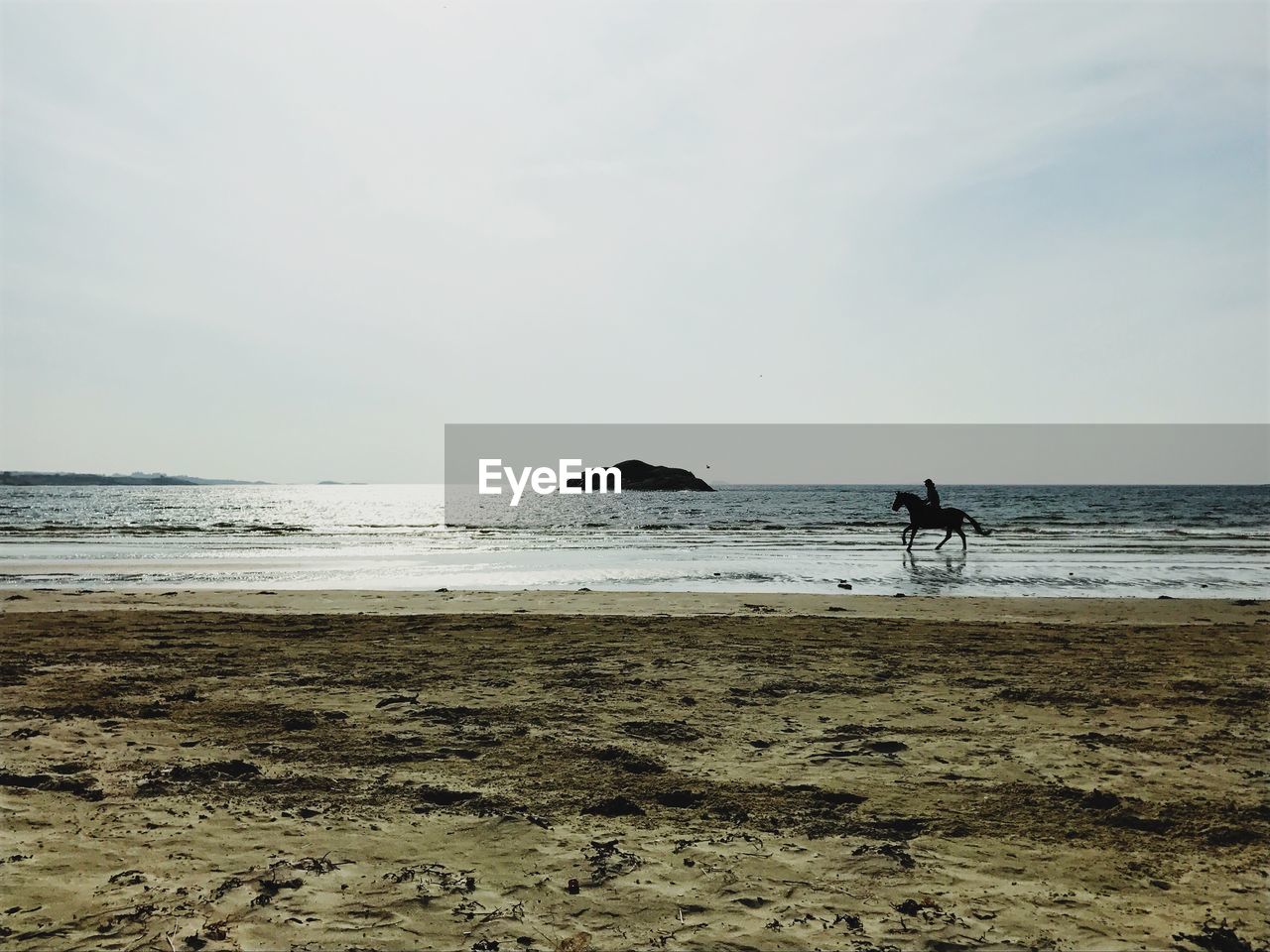 Person riding horse on shore at beach