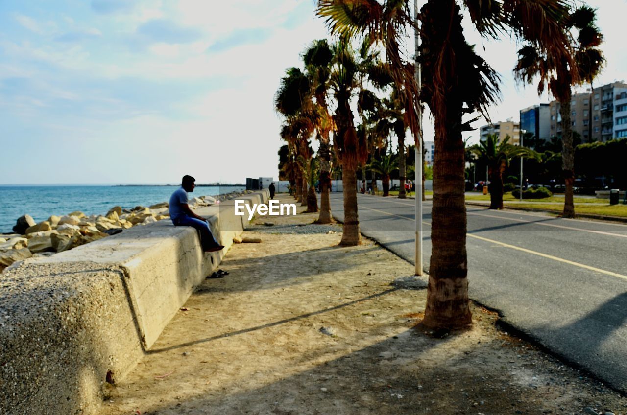 PALM TREES ON BEACH