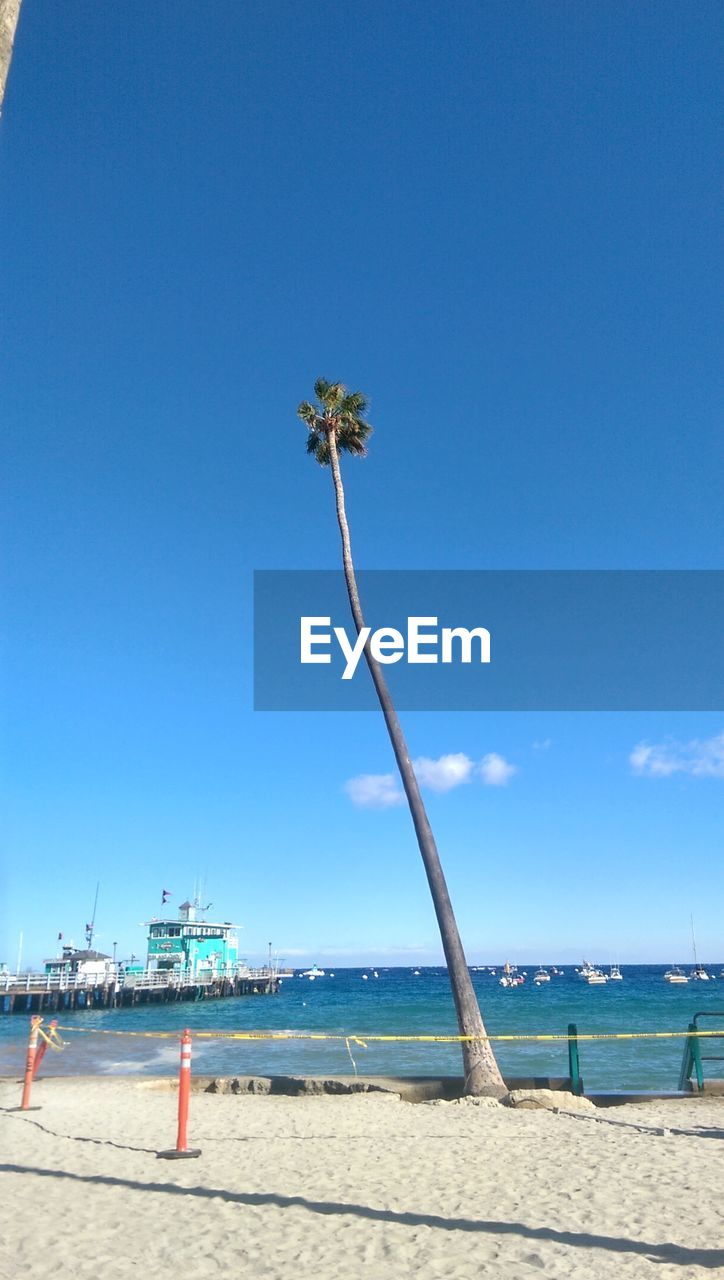 SCENIC VIEW OF BEACH AGAINST CLEAR SKY