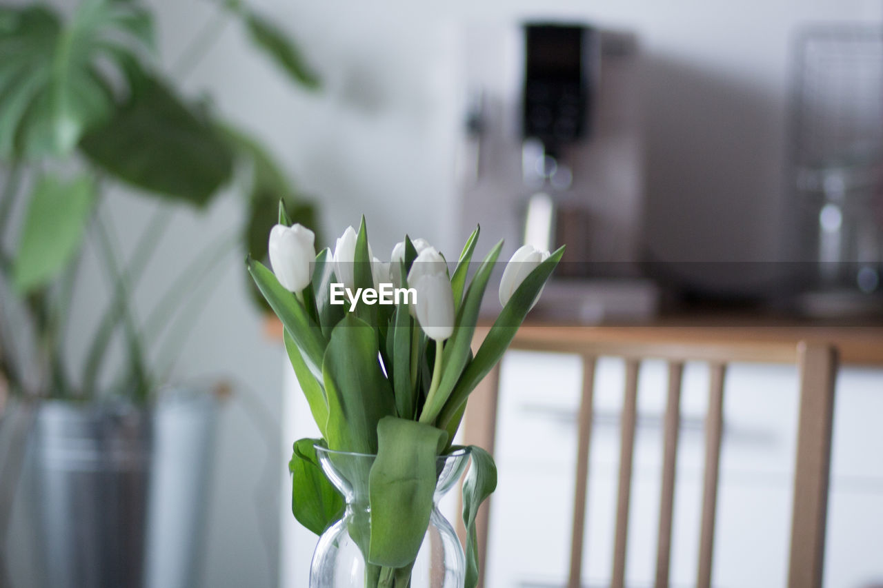 Close-up of white flower in a vase at home