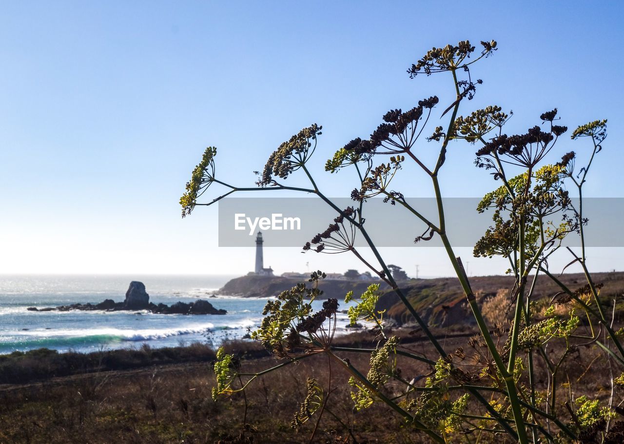 Scenic view of sea against clear sky