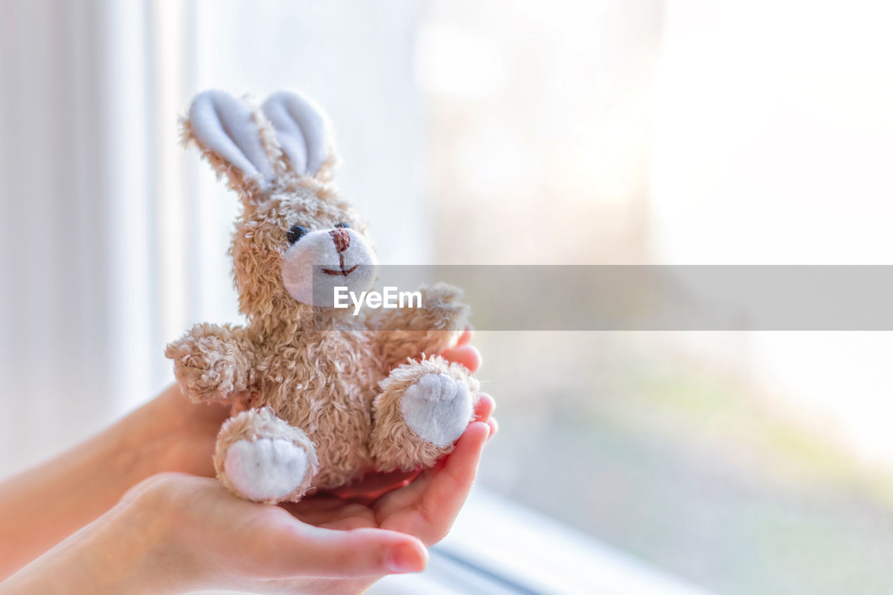 cropped hand of woman holding teddy bear