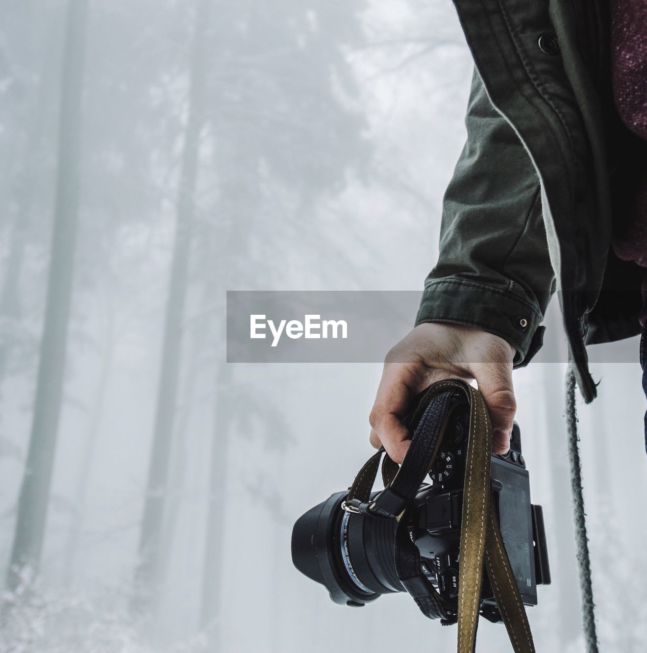Cropped image of man holding camera at forest during foggy weather