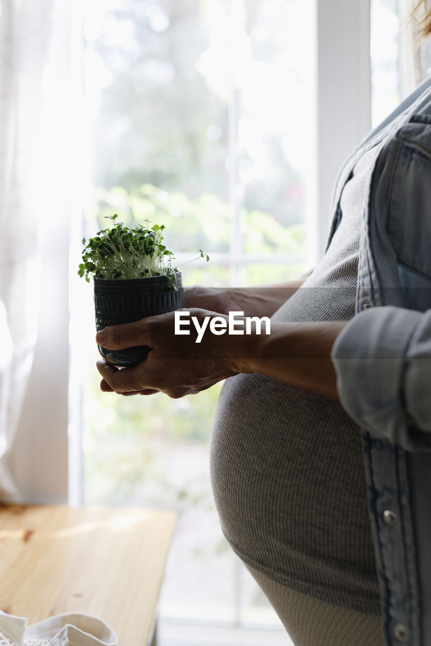 Pregnant woman holding small potted broccoli sprout at home