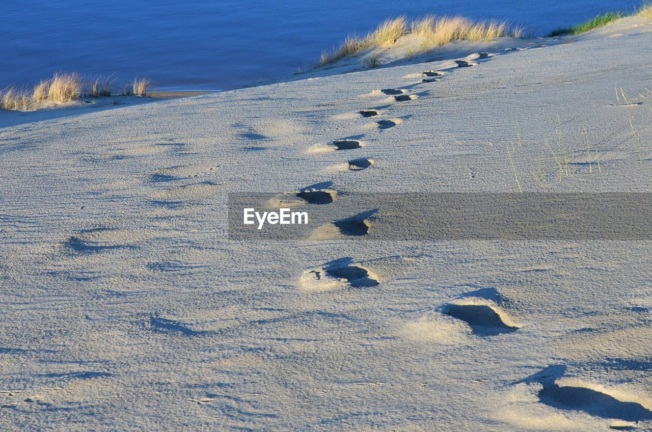 HIGH ANGLE VIEW OF FOOTPRINTS ON SNOW