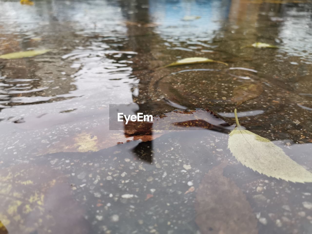 HIGH ANGLE VIEW OF WET PUDDLE IN LAKE