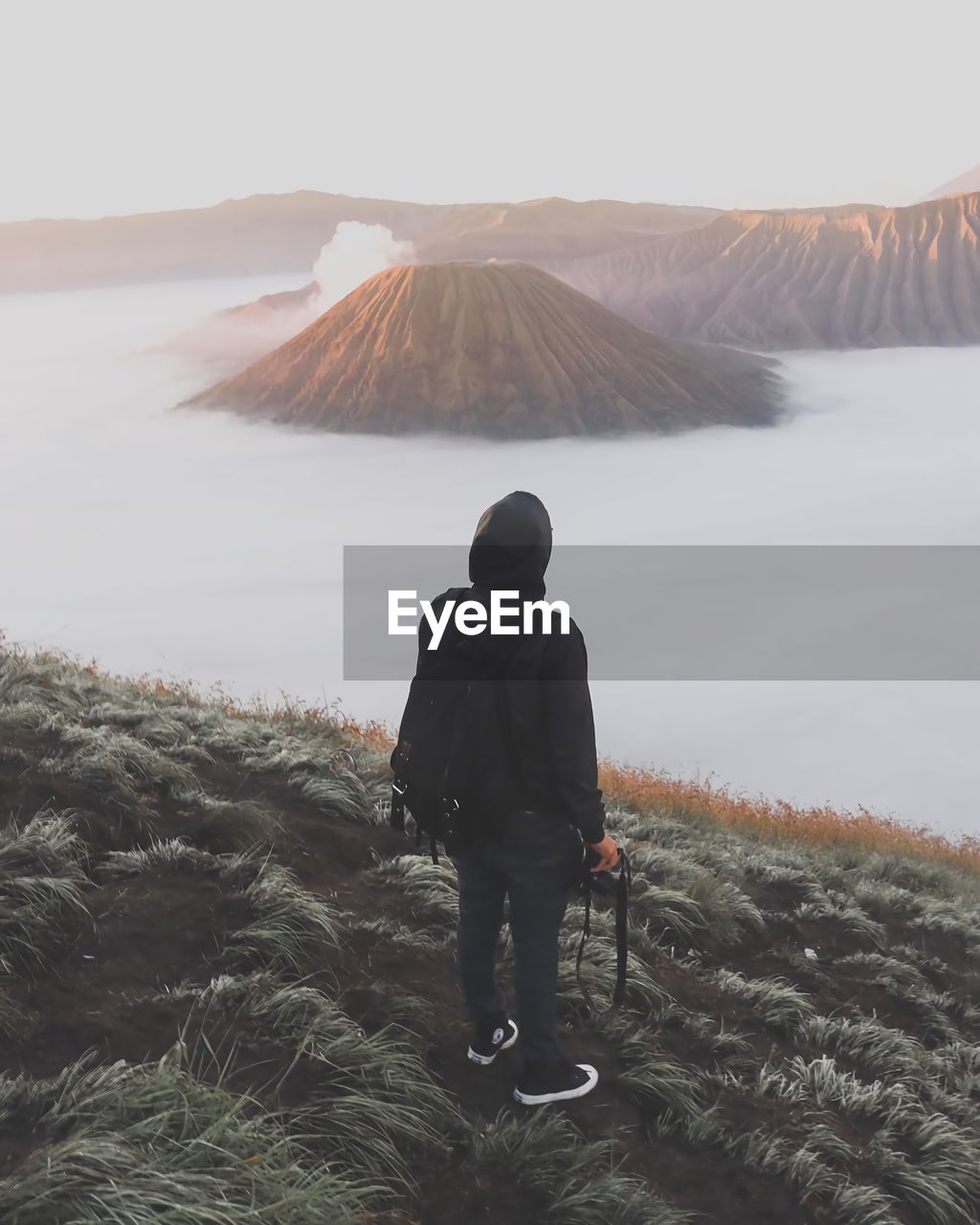 Rear view of male hiker standing on field at bromo-tengger-semeru national park