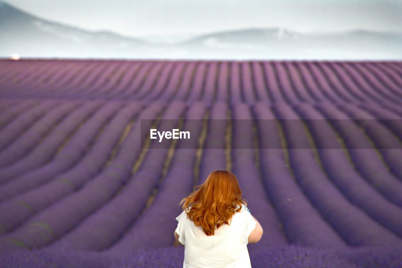 Rear view of woman standing against lavender field against sky