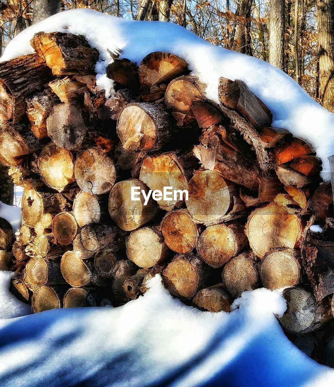 Frozen logs on field during winter