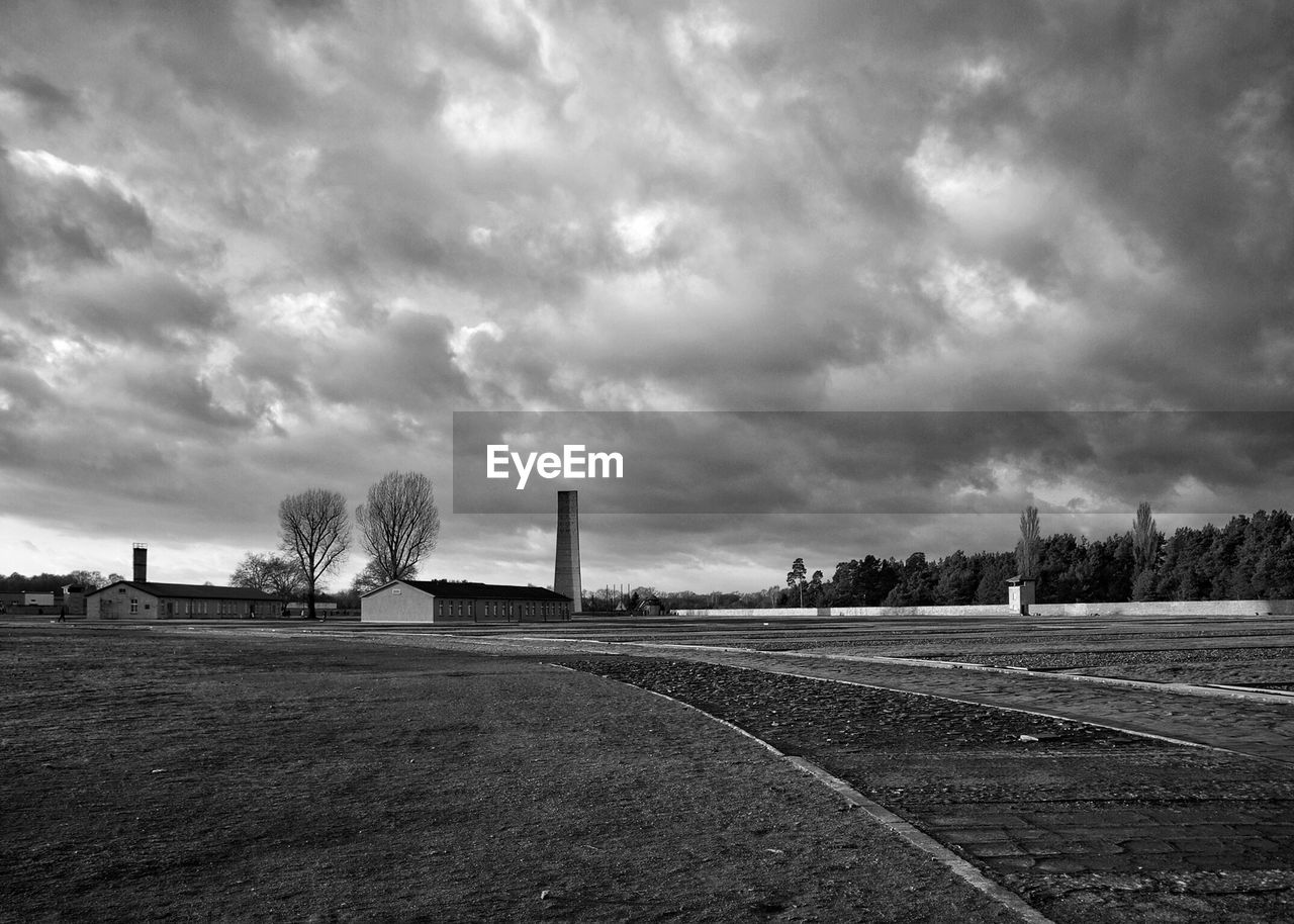 Trees on field against sky