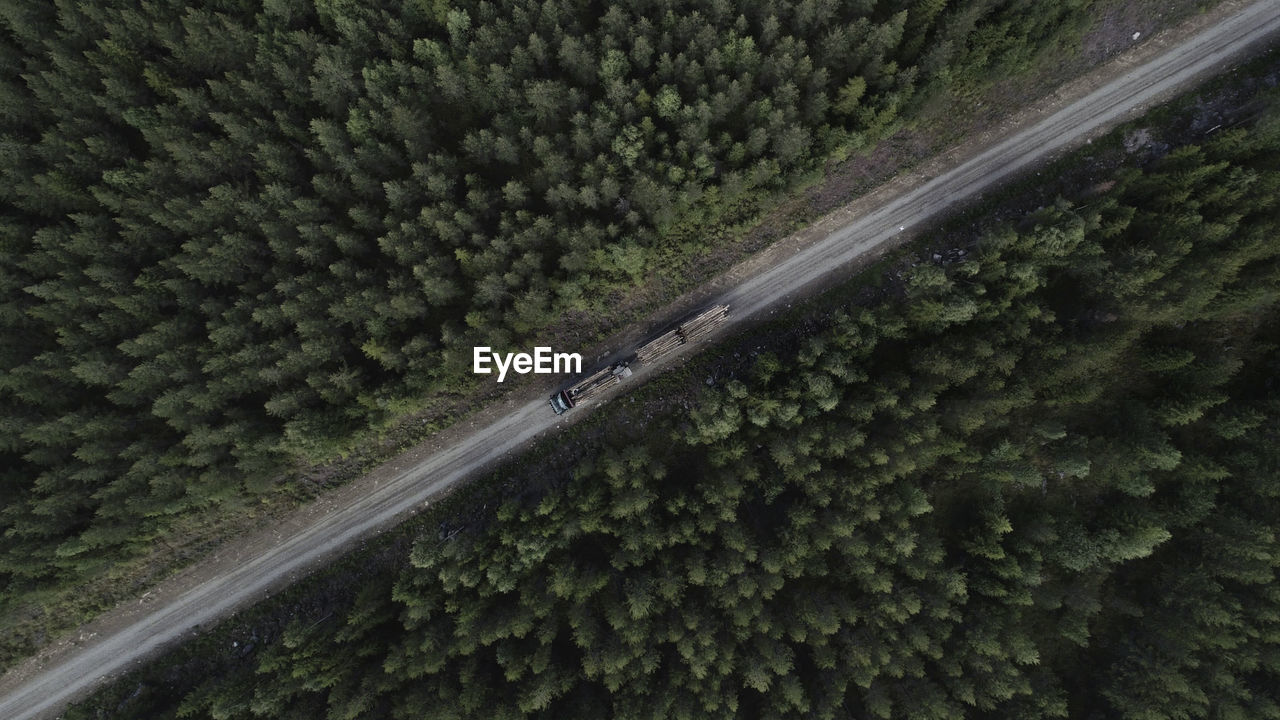 Aerial view of timber truck driving on dirt road in forest