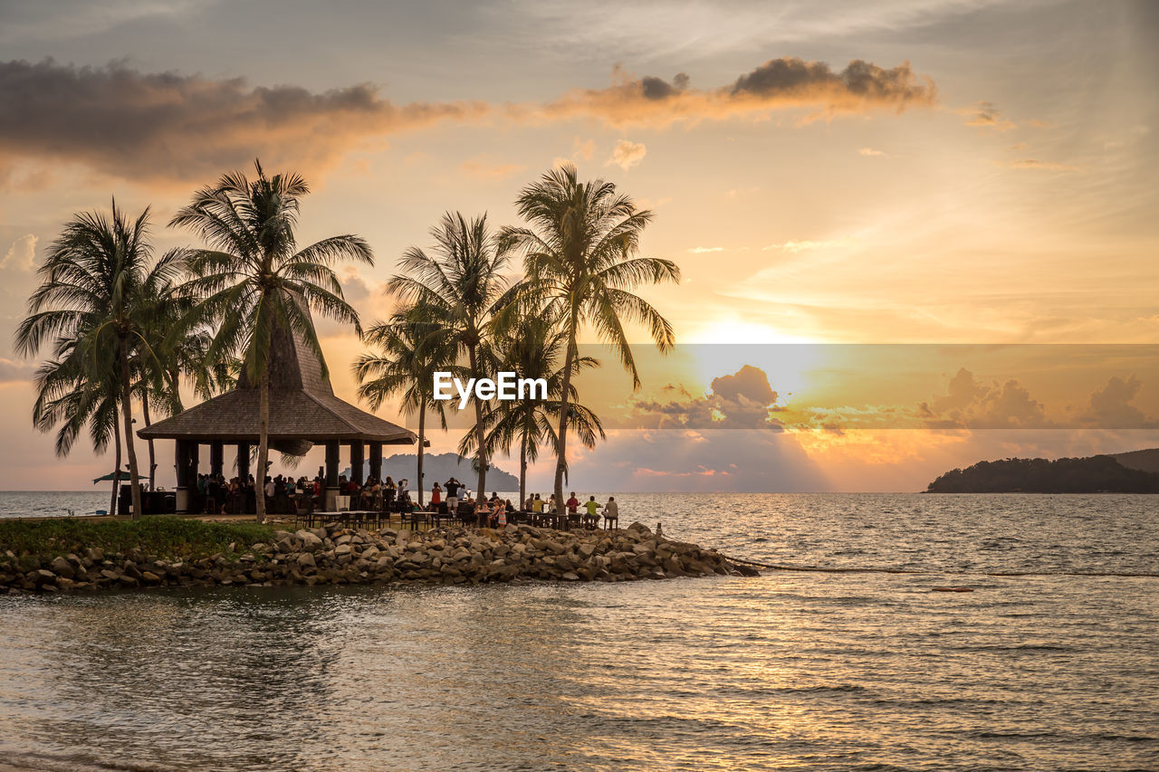 Palm trees at beach against sky during sunset