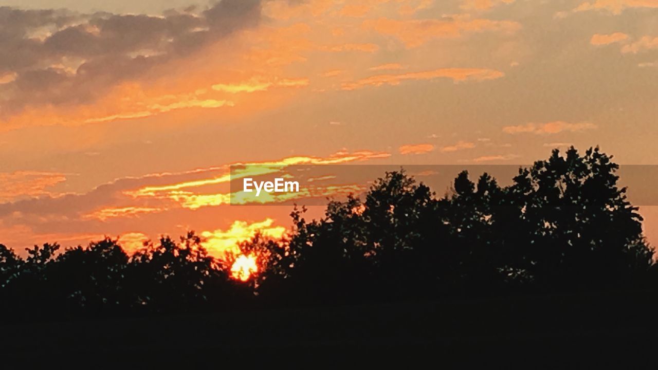 SILHOUETTE TREES AGAINST ORANGE SKY DURING SUNSET