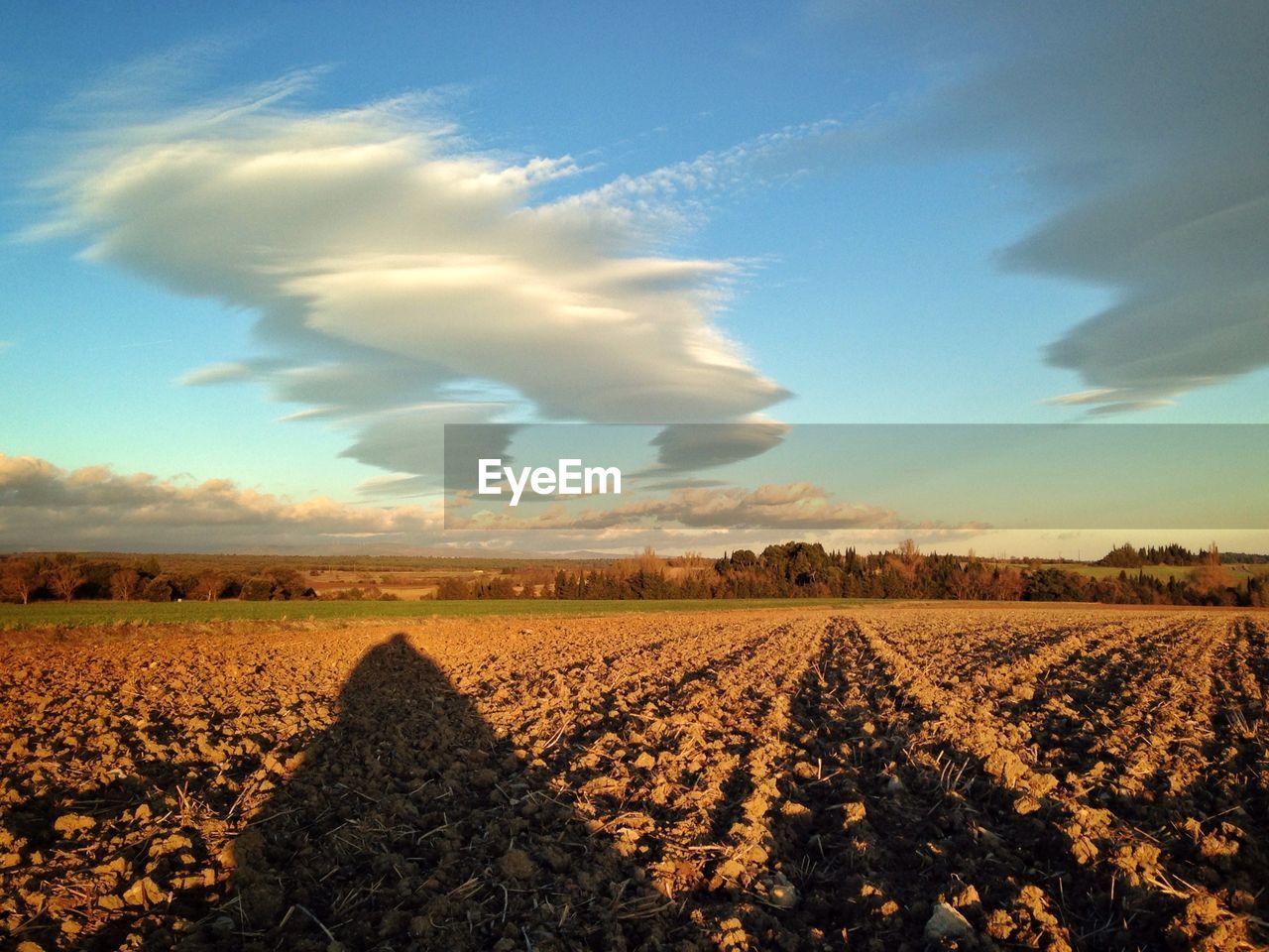 Surface level of agricultural landscape against sky