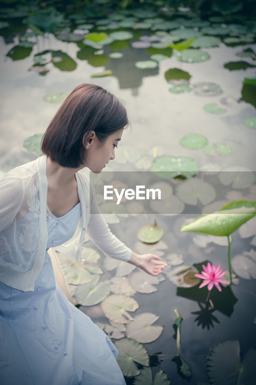 High angle view of woman touching lotus water lily growing in lake